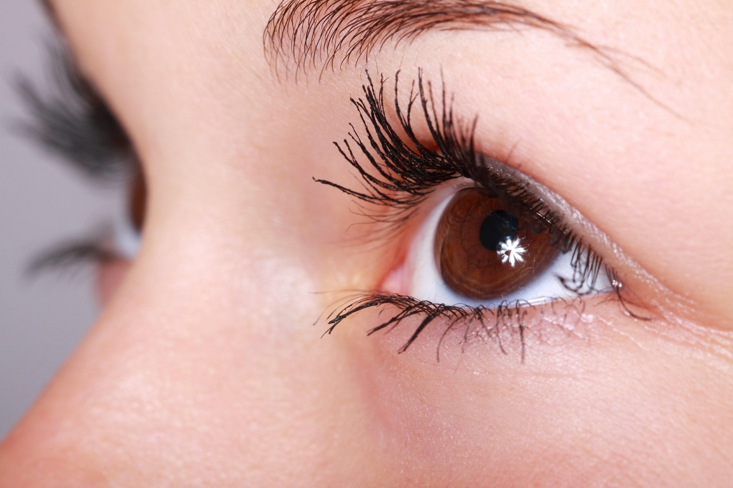 Luxus Lashes: Bauen Sie Ihr Schönheitsreiche