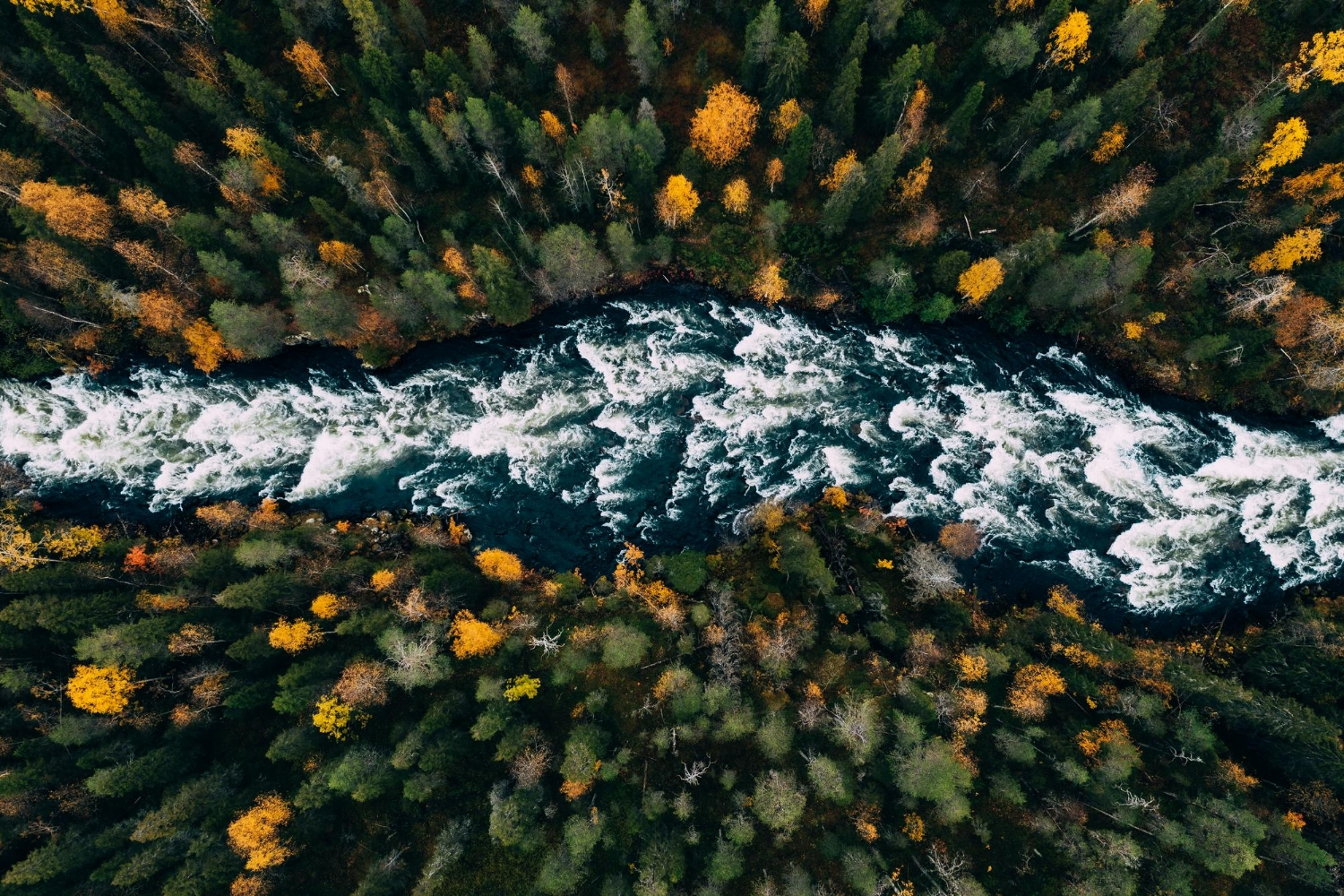 Nature Bonding - Erdverbindung